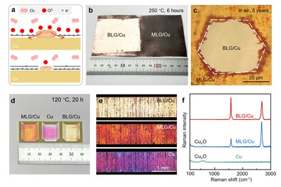 雙面各異 銅上雙層石墨烯的非對(duì)稱摻雜機(jī)制研究揭示